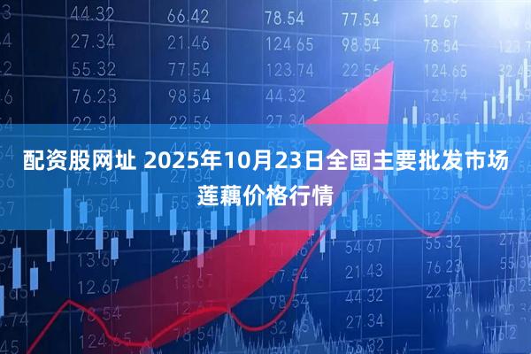 配资股网址 2025年10月23日全国主要批发市场莲藕价格行情
