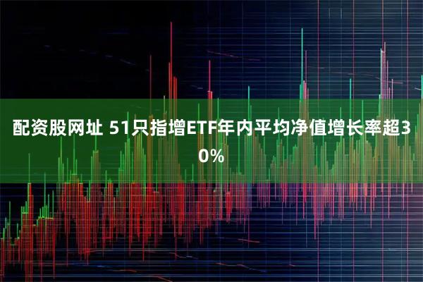 配资股网址 51只指增ETF年内平均净值增长率超30%
